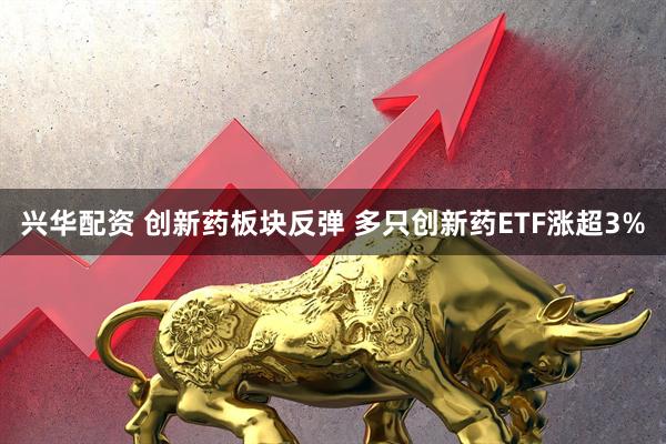 兴华配资 创新药板块反弹 多只创新药ETF涨超3%