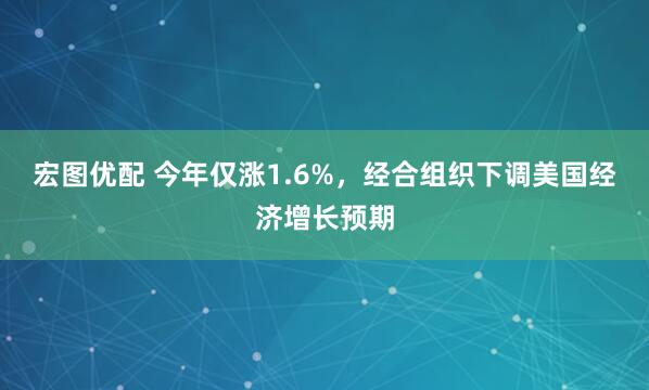 宏图优配 今年仅涨1.6%，经合组织下调美国经济增长预期